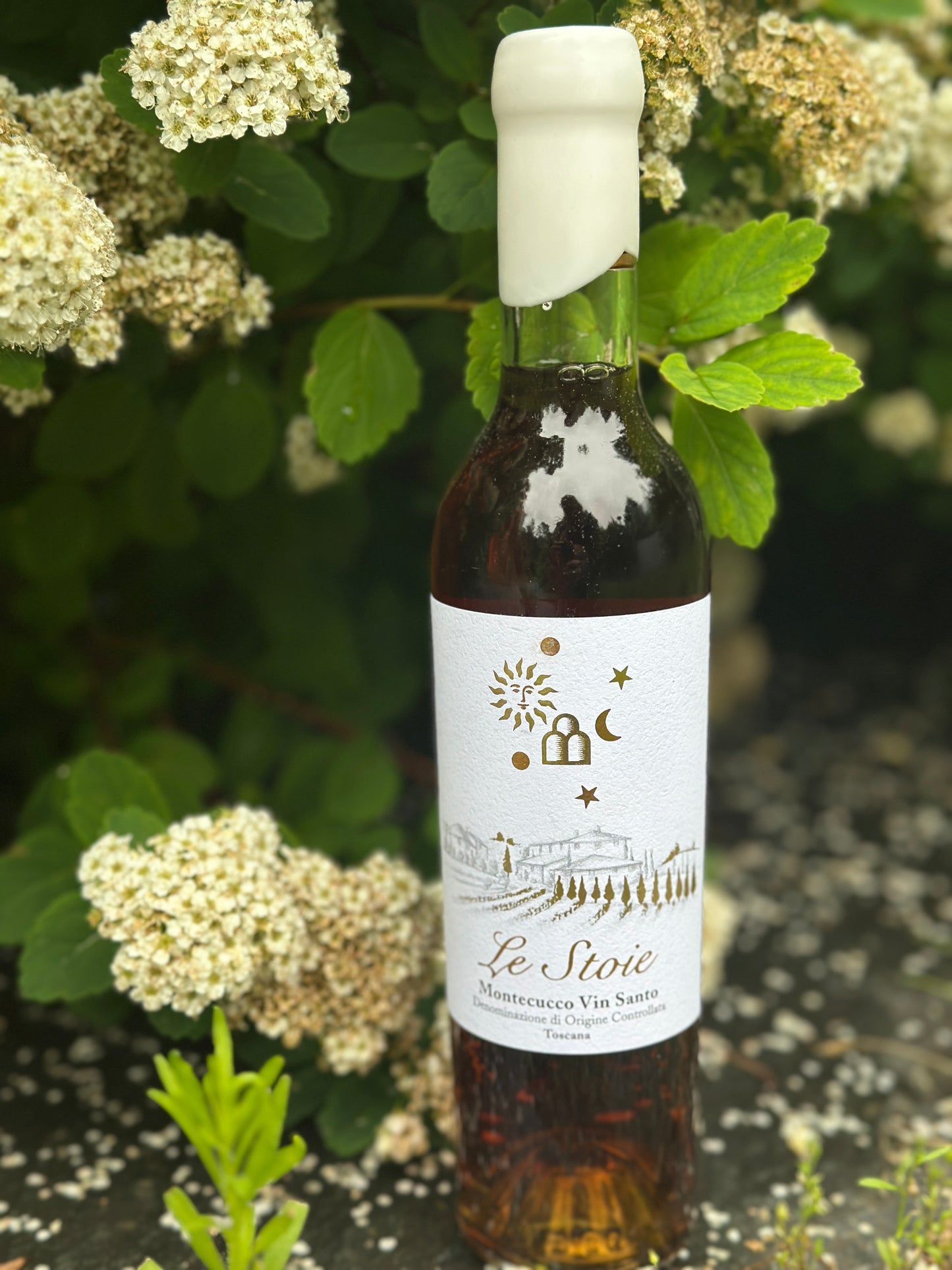 2015 Vin Santo "Le Stoie" Peteglia