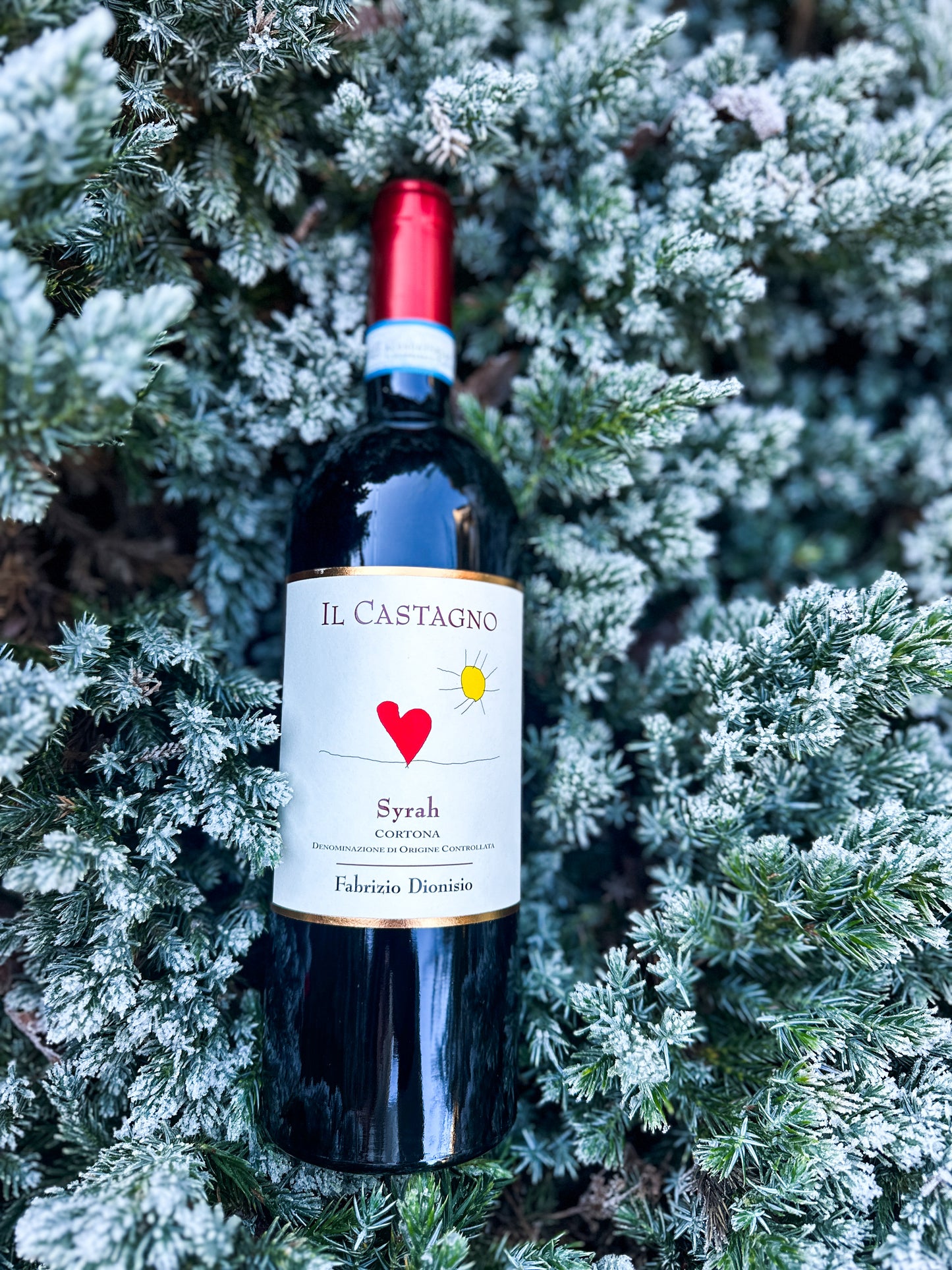 2017 IL Castagnio Syrah Cortona DOC