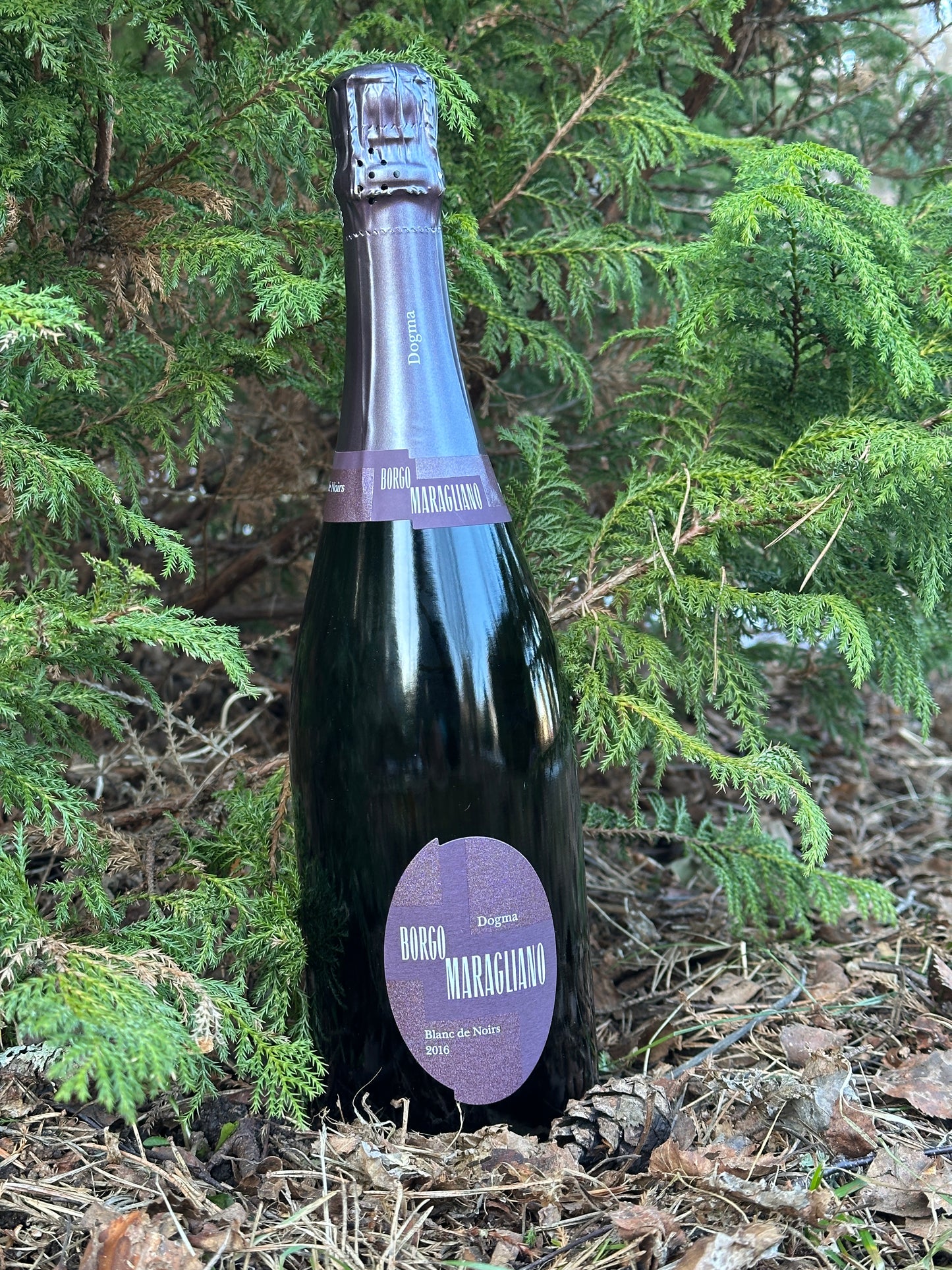 2016 Dogma Blanc De Noir Millesime VSQ