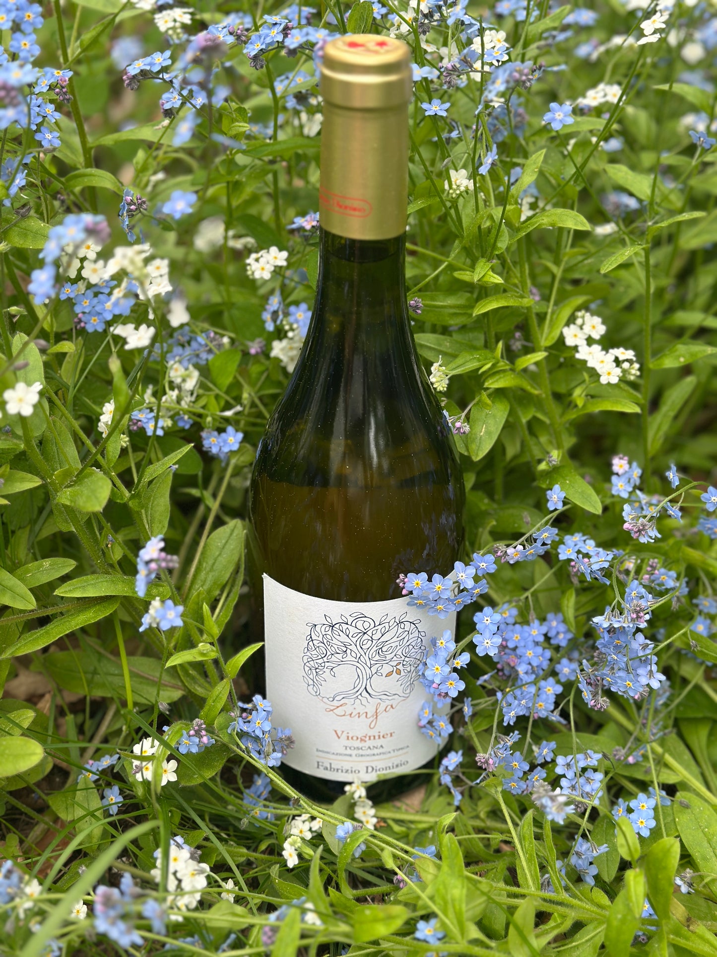 2020 Linfa Toscana Viognier IGT