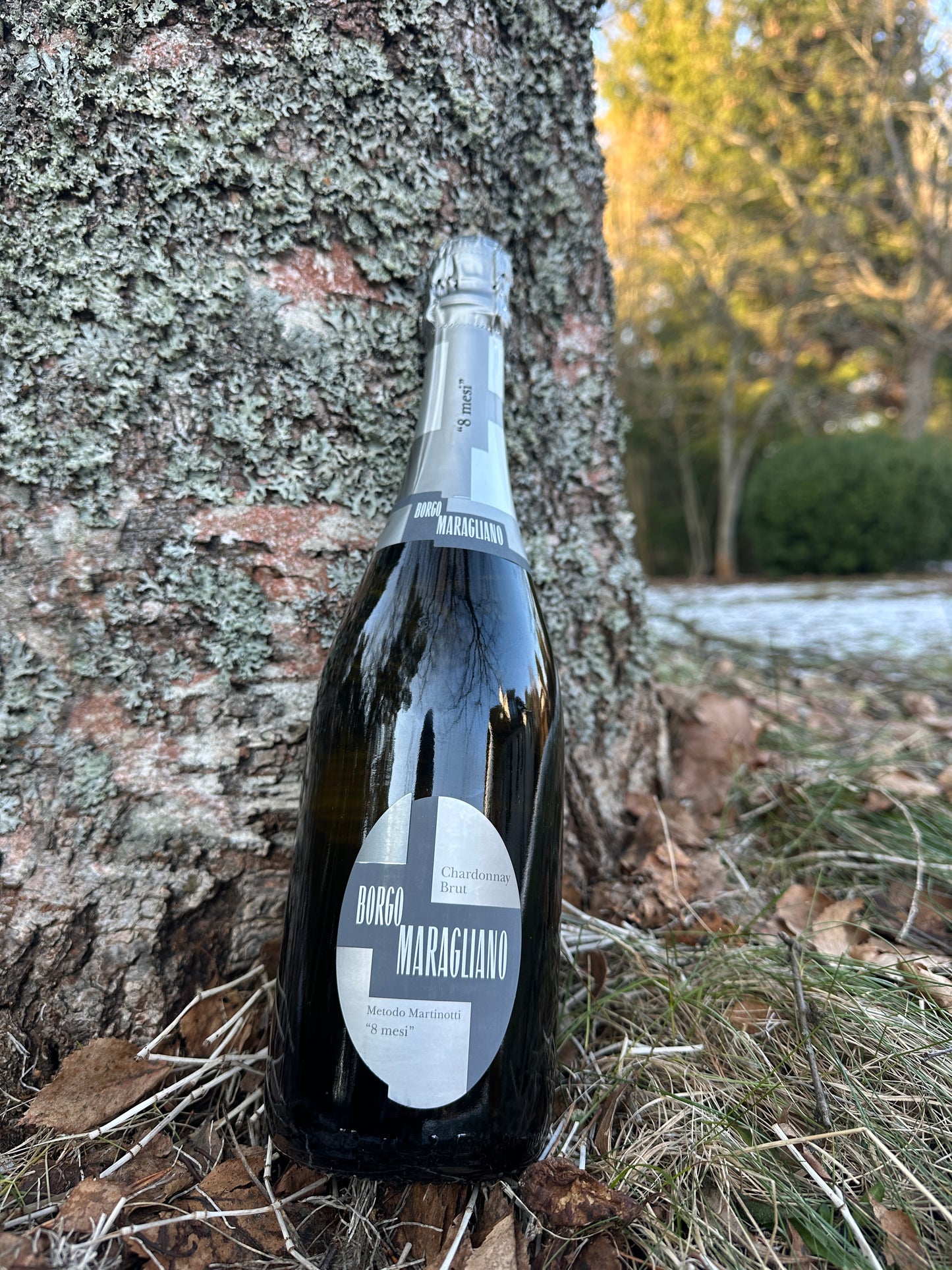 Borgo Maragliano Chardonnay Brut VS