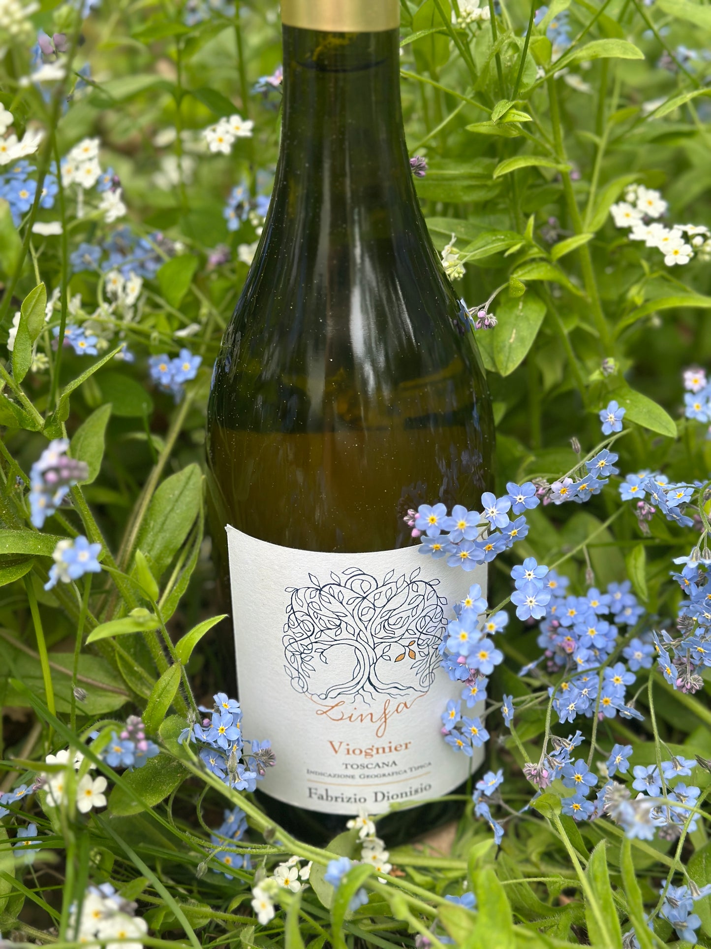 2020 Linfa Toscana Viognier IGT