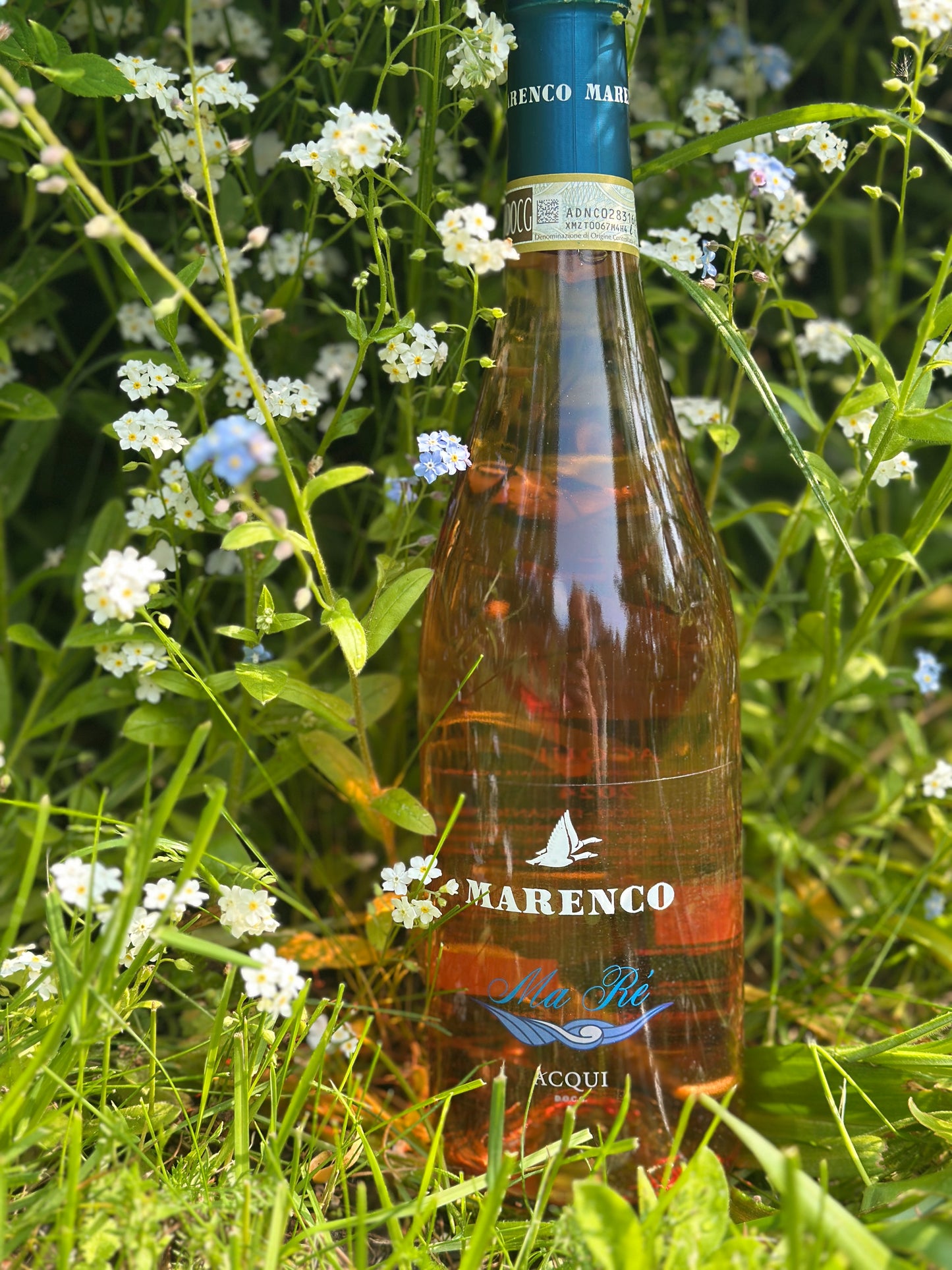 2024 Brachetto D'Acqui Secco – kuiv rose