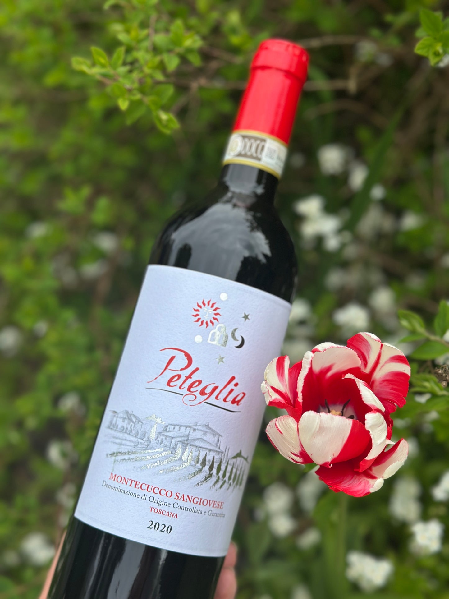 2020 Peteglia Sangiovese Montecucco DOCG
