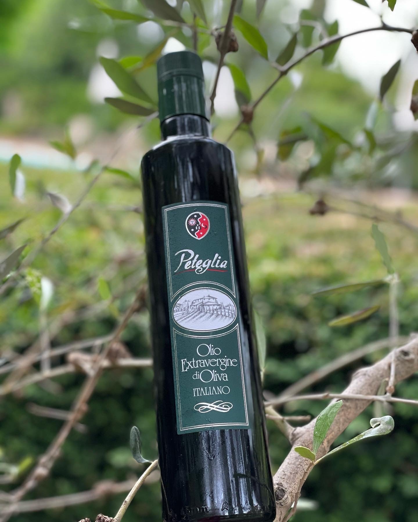 2022 Peteglia Olio Extravergine di Olivia