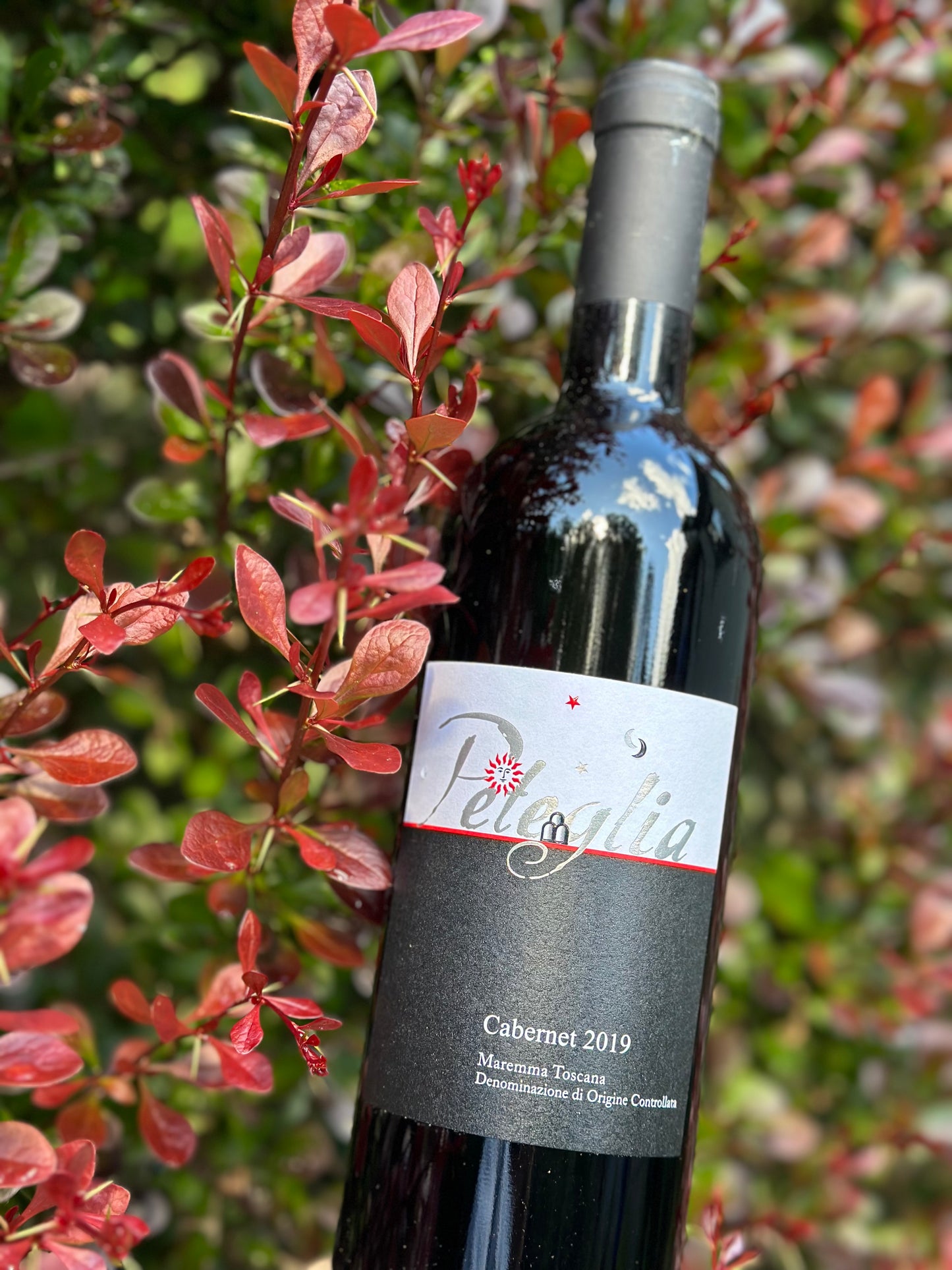 2019 Peteglia Maremma Toscana Cabernet DOC