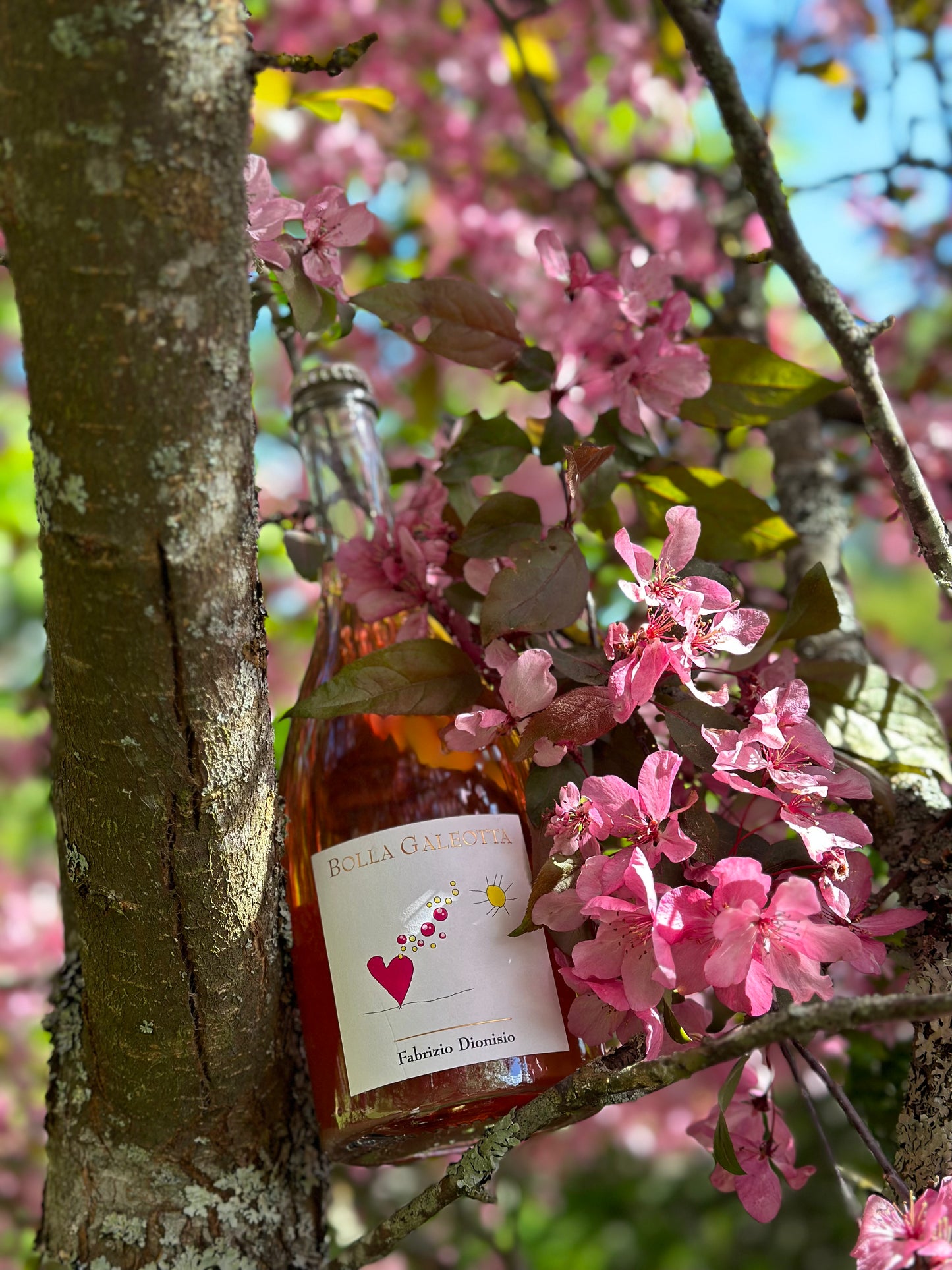 "Bolla Galeotta" Sparkling Rosé Syrah Tuscany IGT Ancestral Method