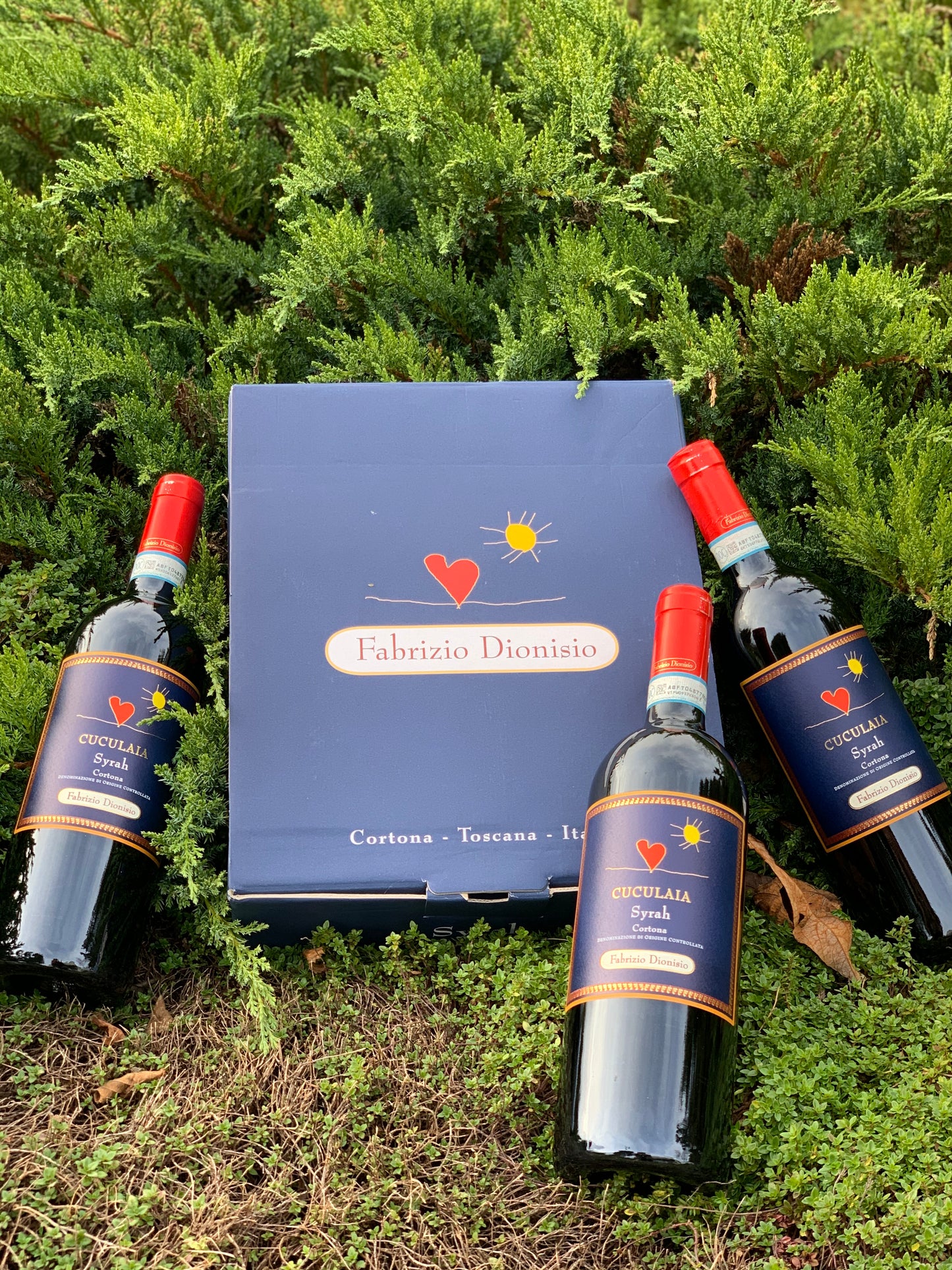 2018 Cuculaia Syrah Cortona DOC