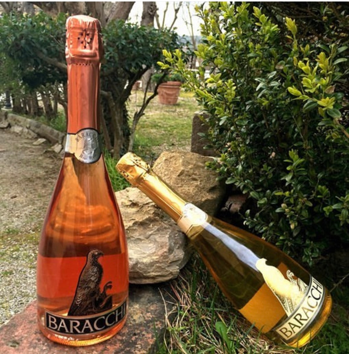 Brut Rosè Metodo Classico