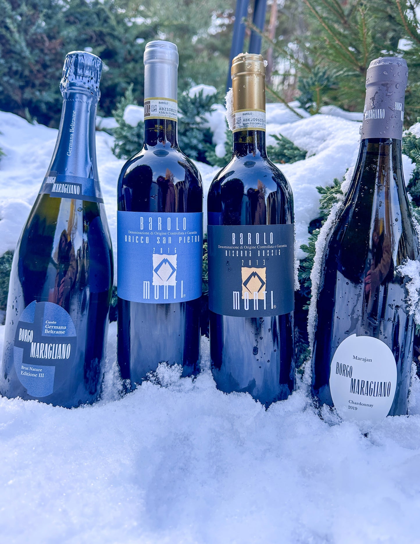2019 Cuvee Germana Beltrame Brut Nature VSQ