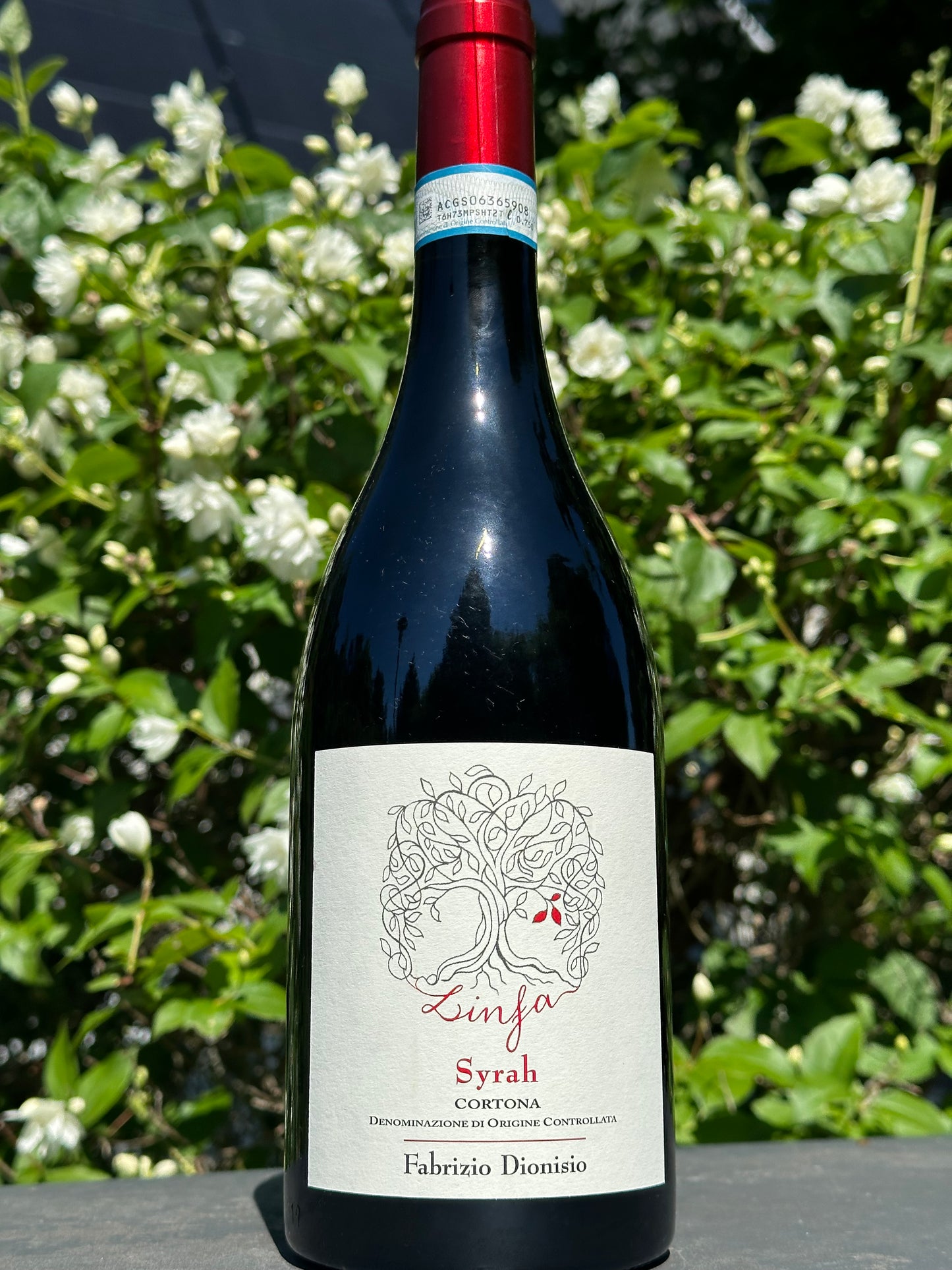 2021 Linfa Syrah Cortona BIO, DOC (100 % Syrah)