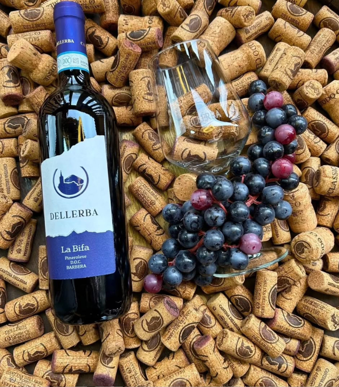 The Bifa of Bosch Pinerolo DOC Barbera