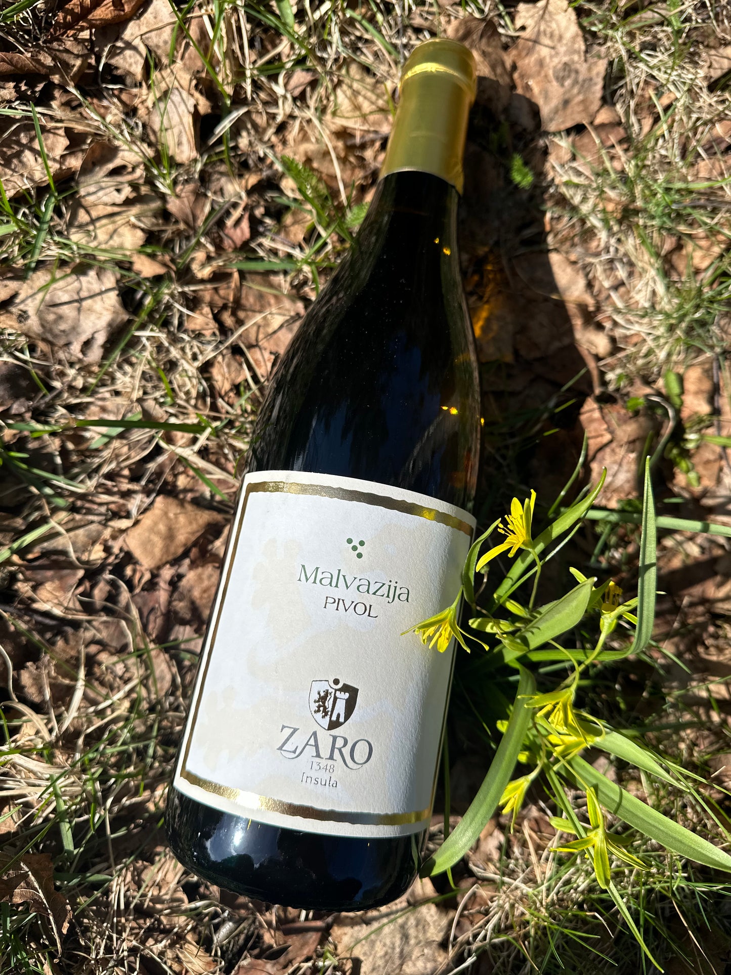 2020 BIO MALVASIA MACERATION