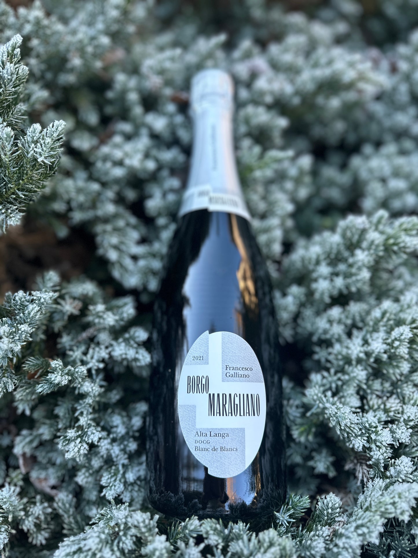 2019 Francesco Galliano Alta Langa Blanc de Blancs DOCG