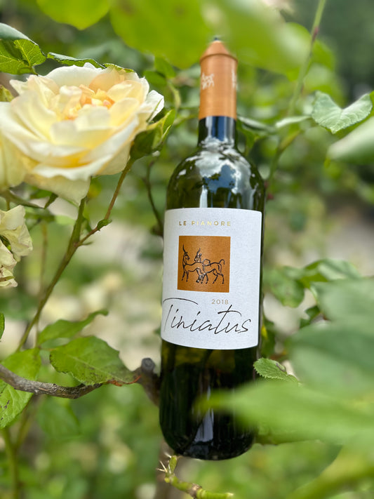 2018 Le Pianore Tiniatus
