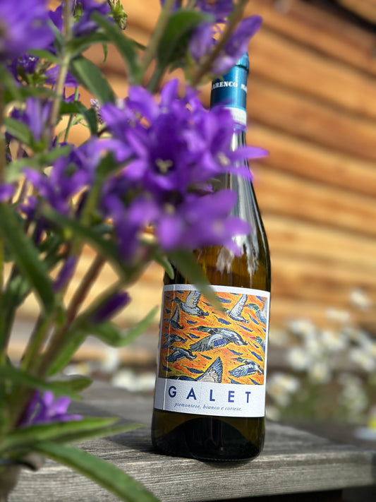 2024 Galet Piemonte DOC Cortese