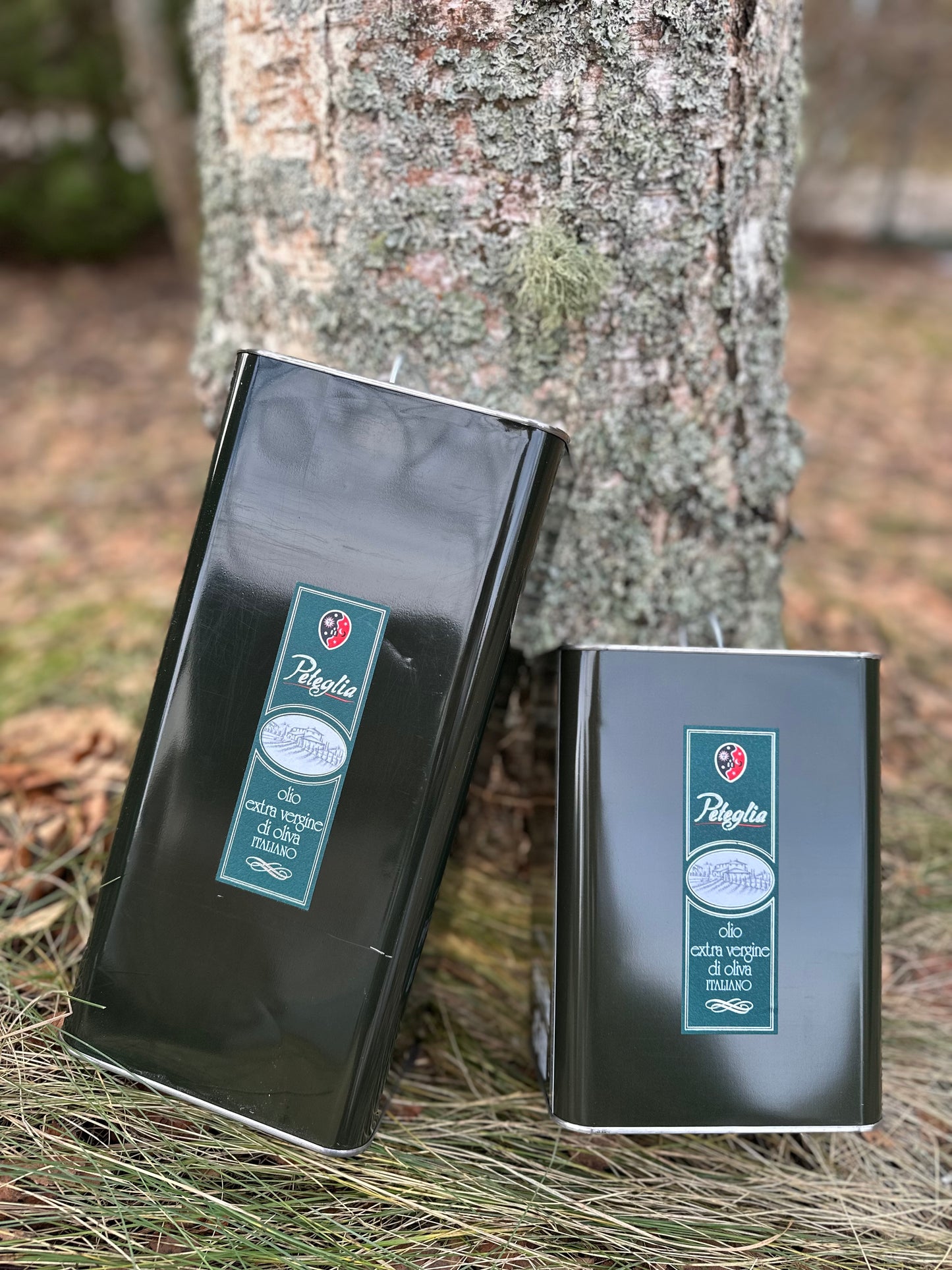 Peteglia Olio Extravergine di Olivia