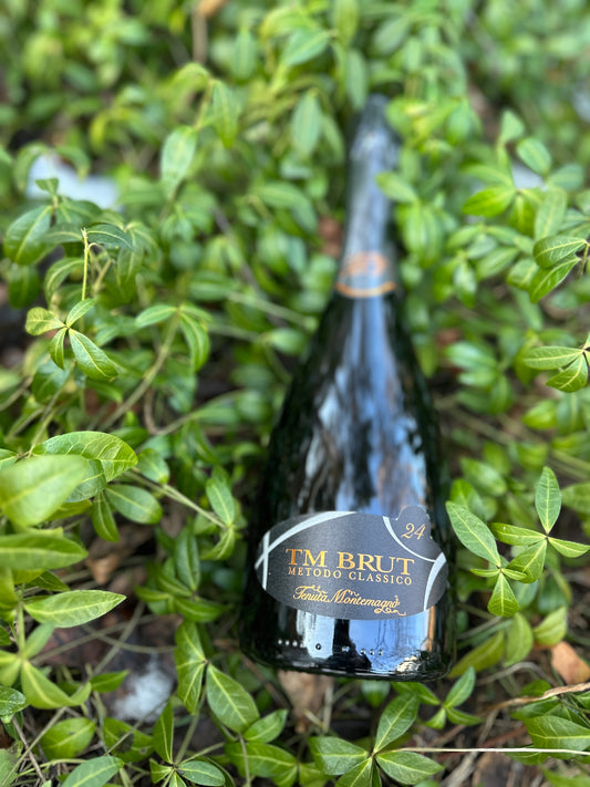 24 kuud TM Brut