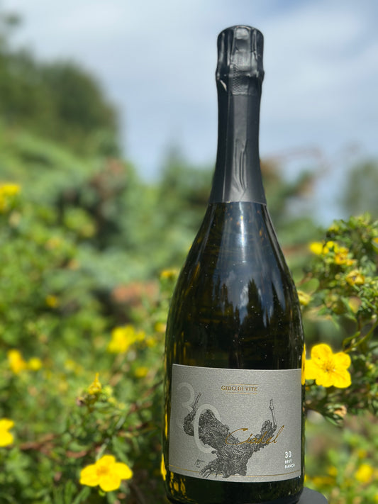 Ciadel Brut Metodo Classico