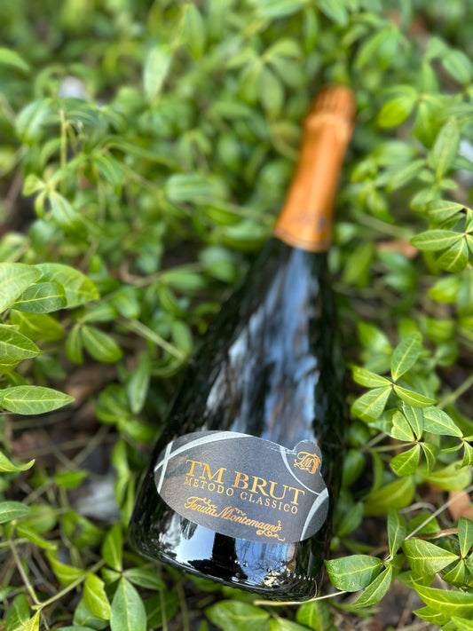 36 months TM Brut