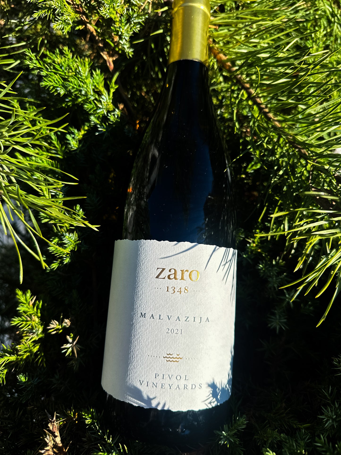 2021 Bio Malvasia Maceration, Zaro