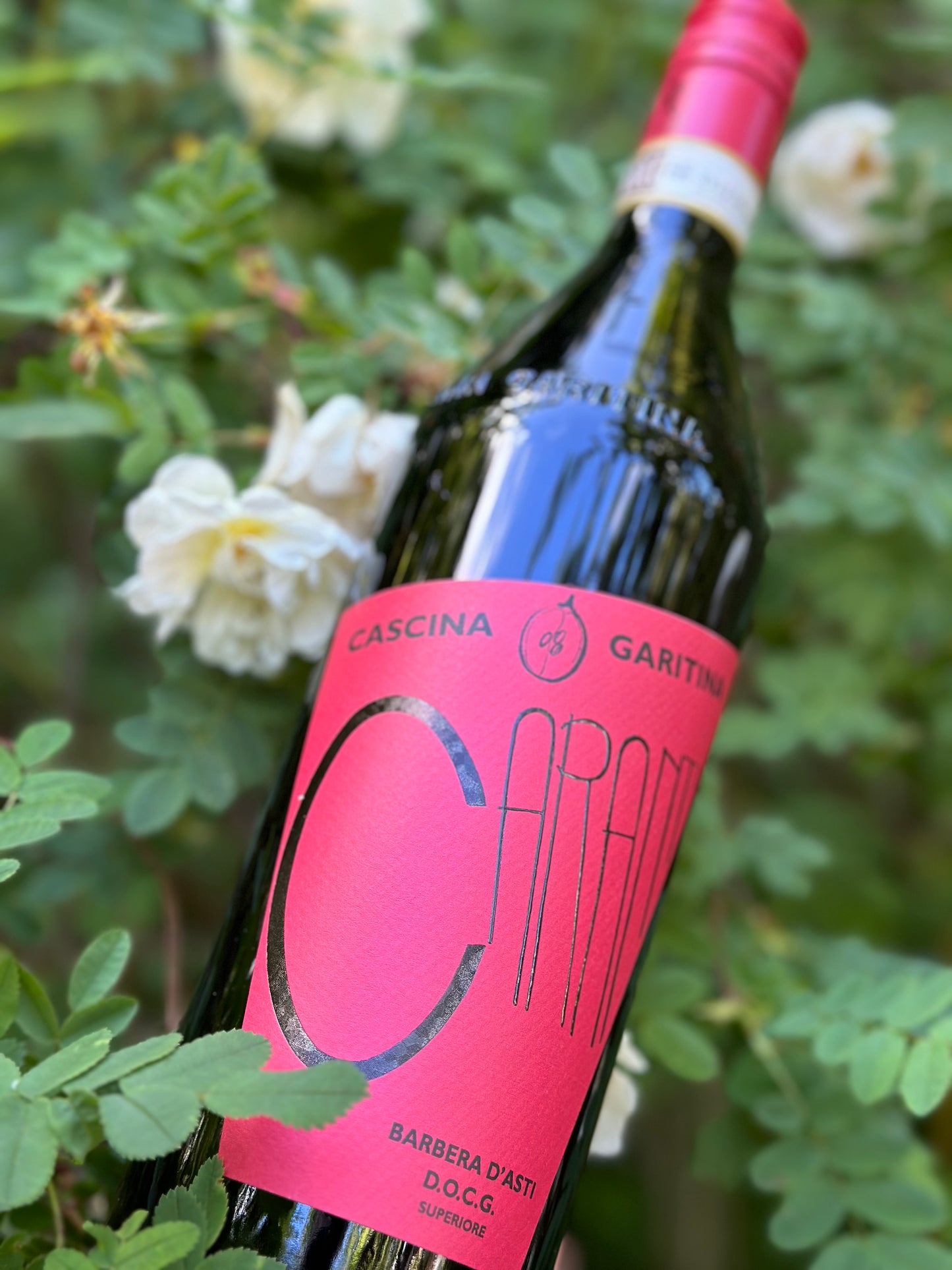 2023 Caranti Barbera D'Asti Superiore