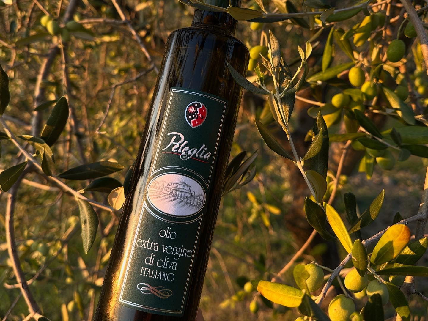 Peteglia Olio Extravergine di Olivia