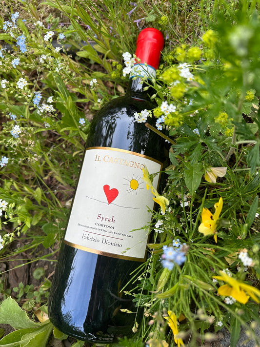 2016 Il Castagnio Syrah Cortona DOC 
