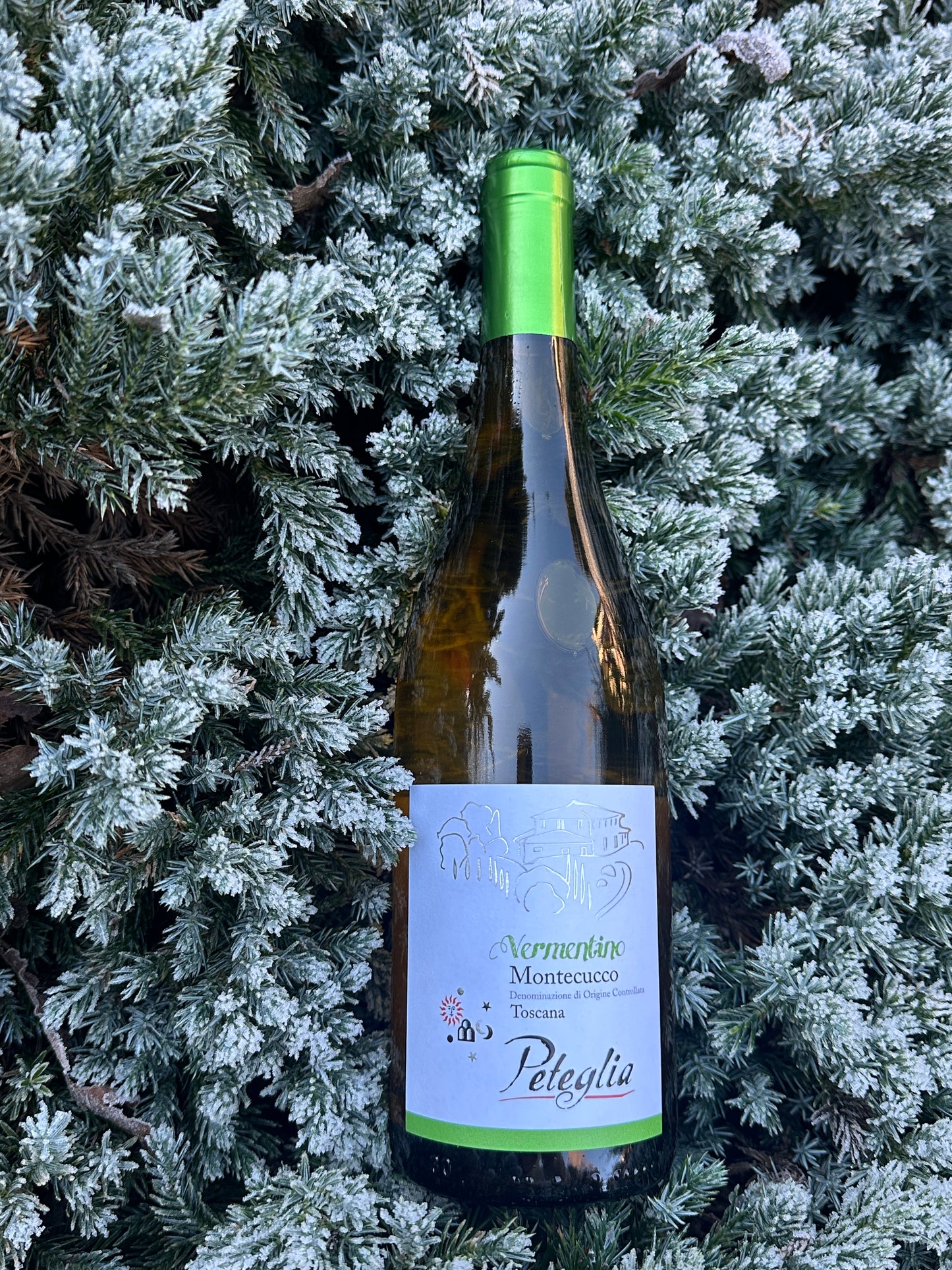 2024 Vermentino Montecucco DOC Peteglia