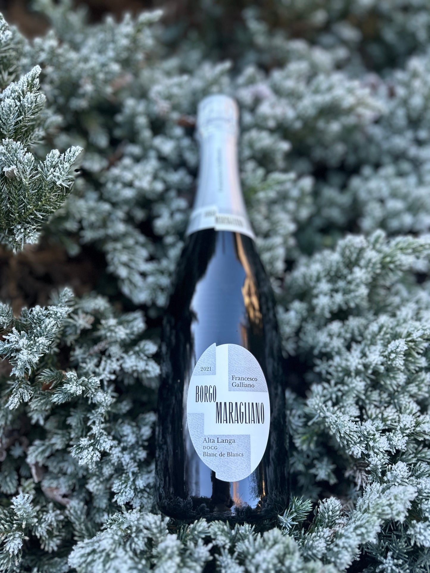 2019 Francesco Galliano Alta Langa Blanc de Blancs DOCG