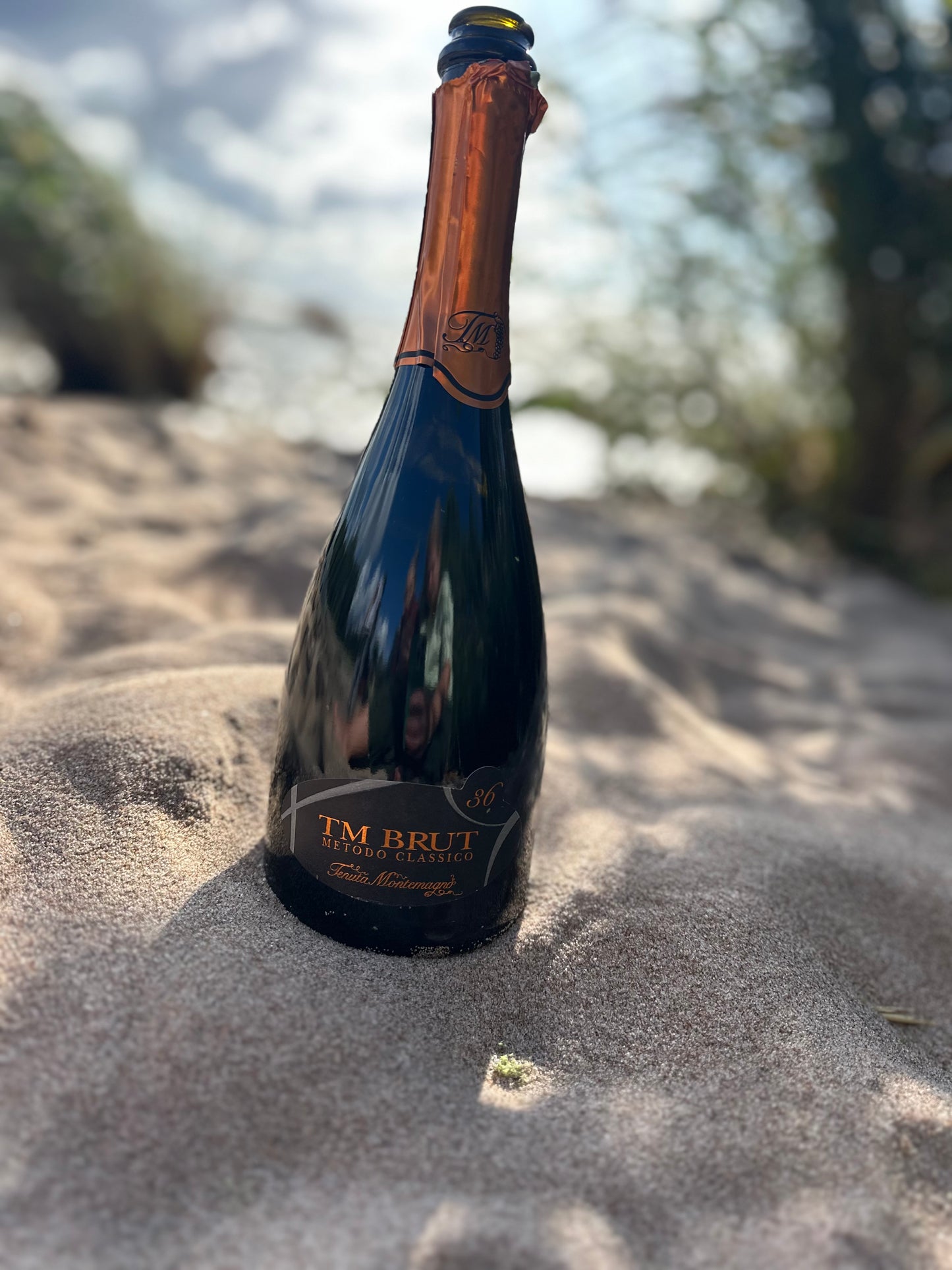 36 months TM Brut