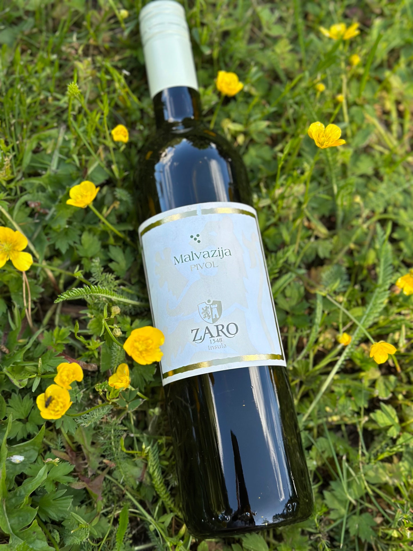 2023 BIO MALVASIA 