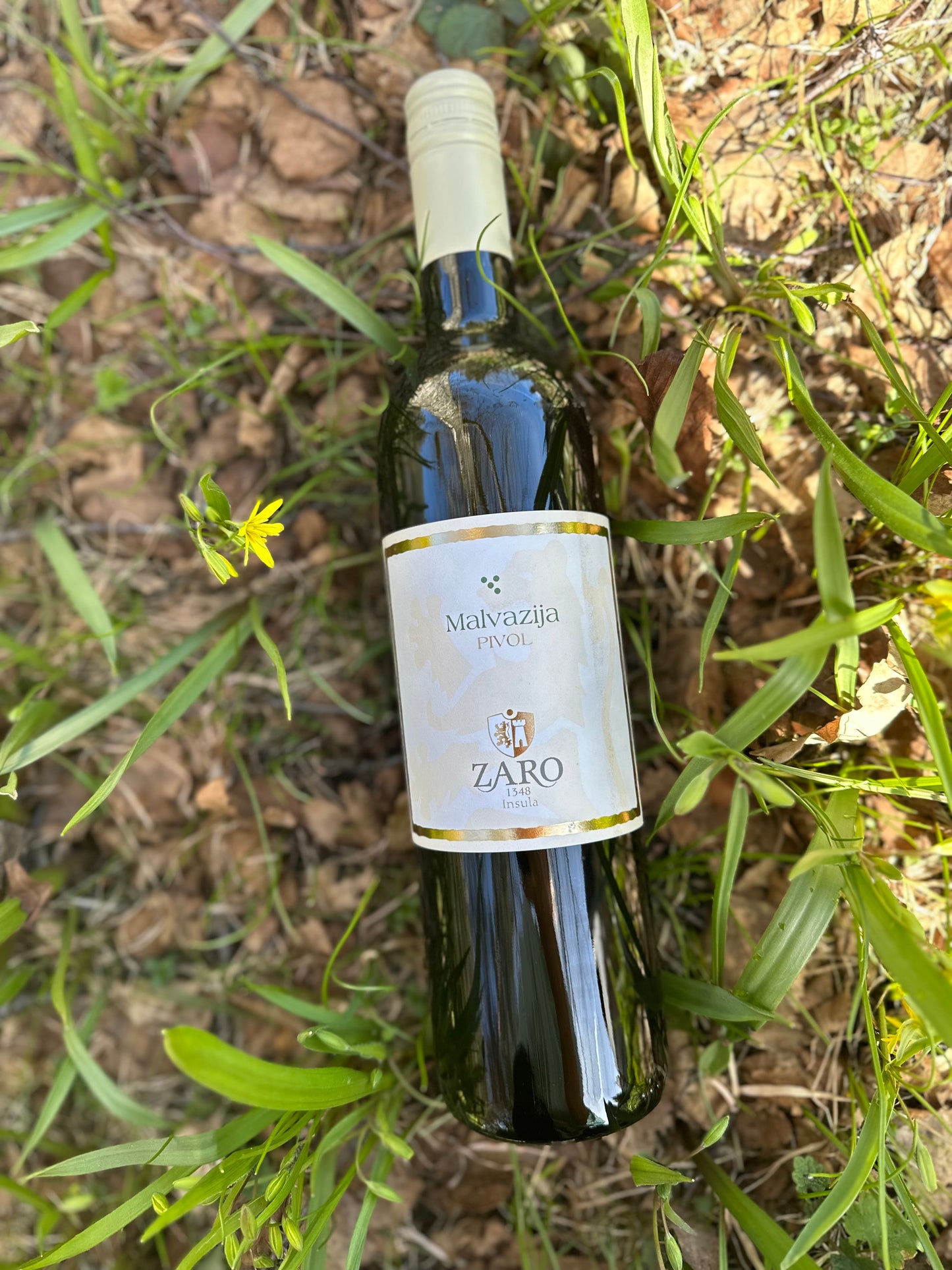 2023 BIO MALVASIA