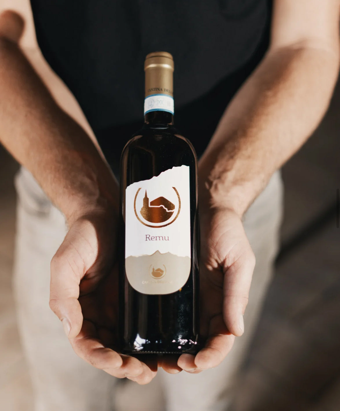 REMU Pinerolese DOC Red