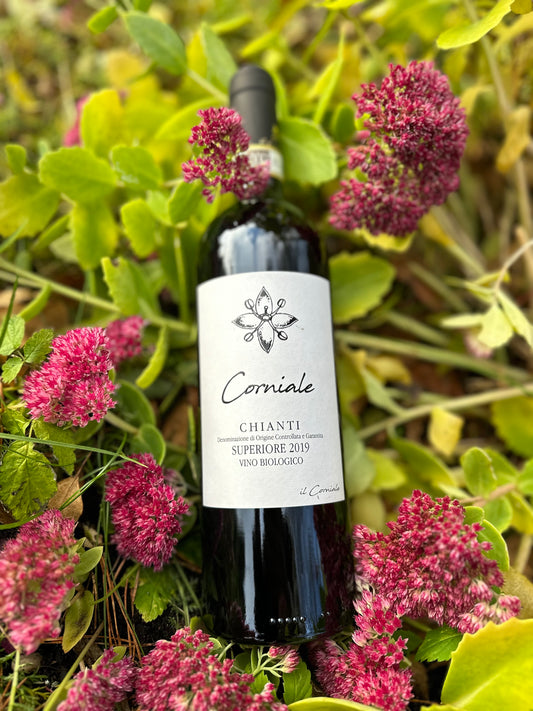 2019 Chianti DOCG Superiore