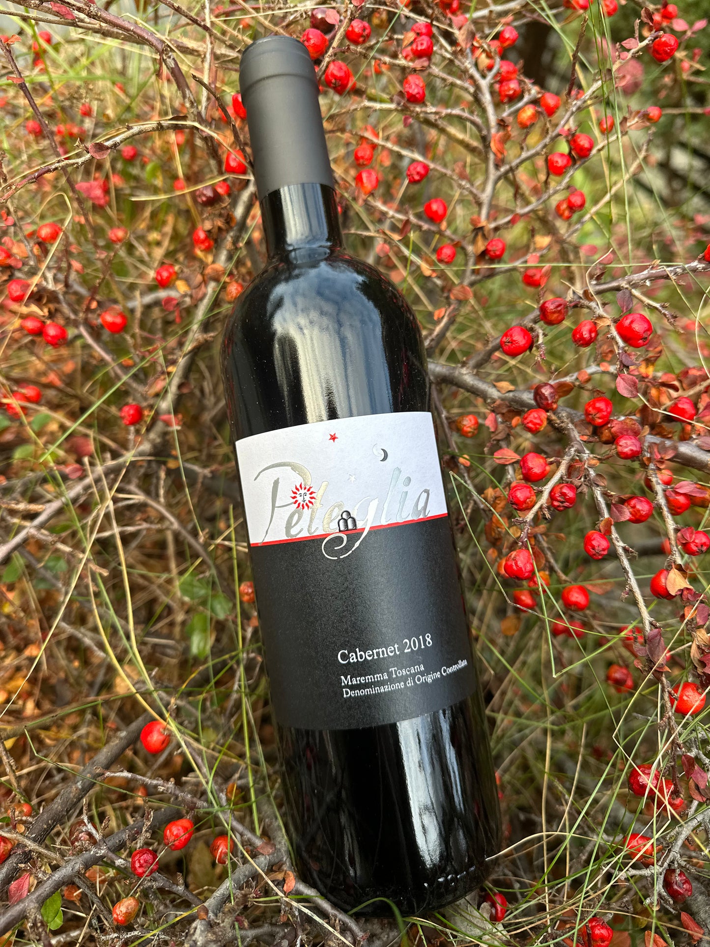 2018/ 2019 Peteglia Maremma Toscana Cabernet DOC