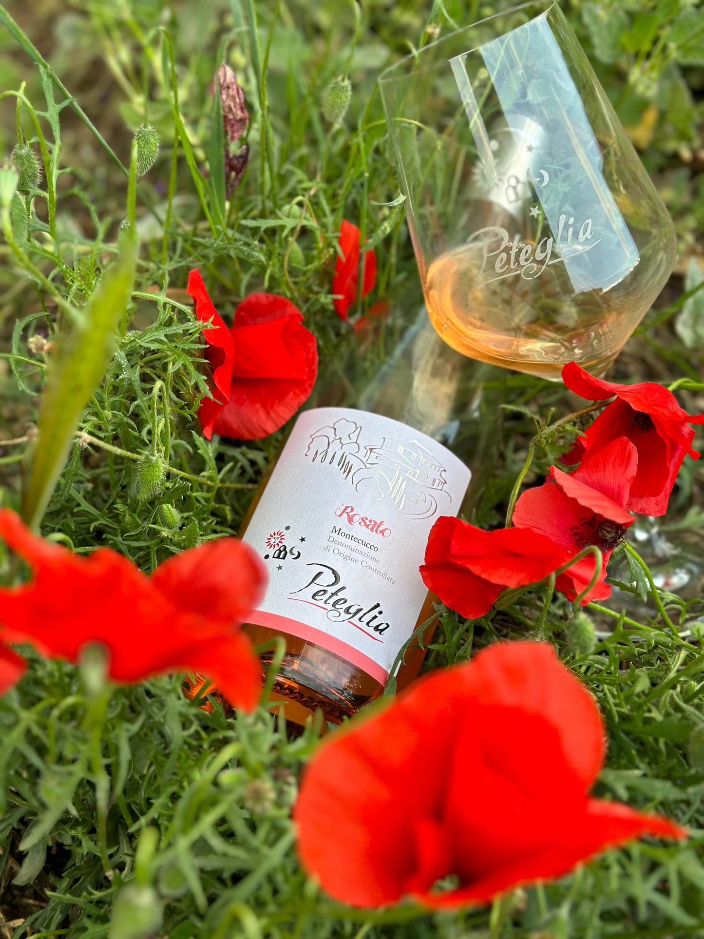 2023 Montecucco Peteglia Rosato DOC
