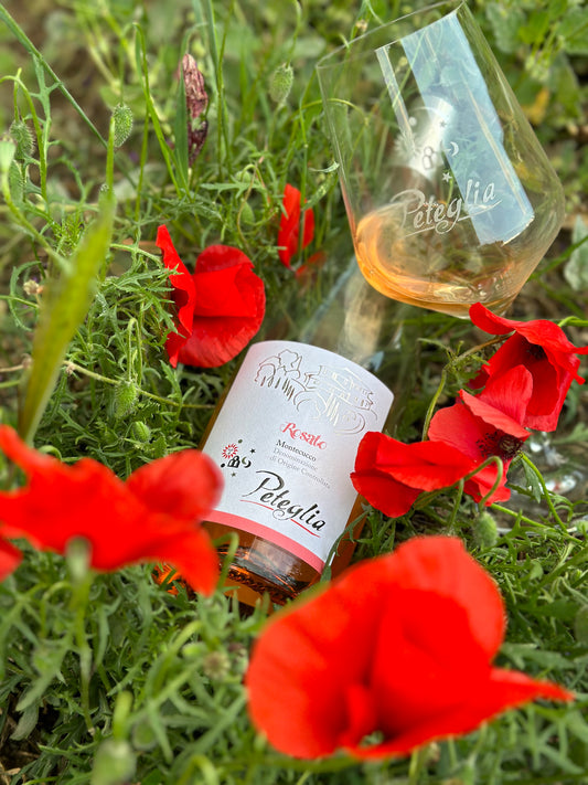 2024 Montecucco Peteglia Rosato DOC