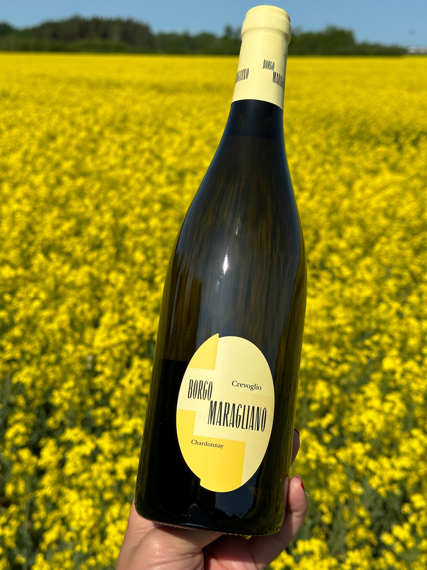 2022 Crevoglio Piemonte Chardonnay DOC