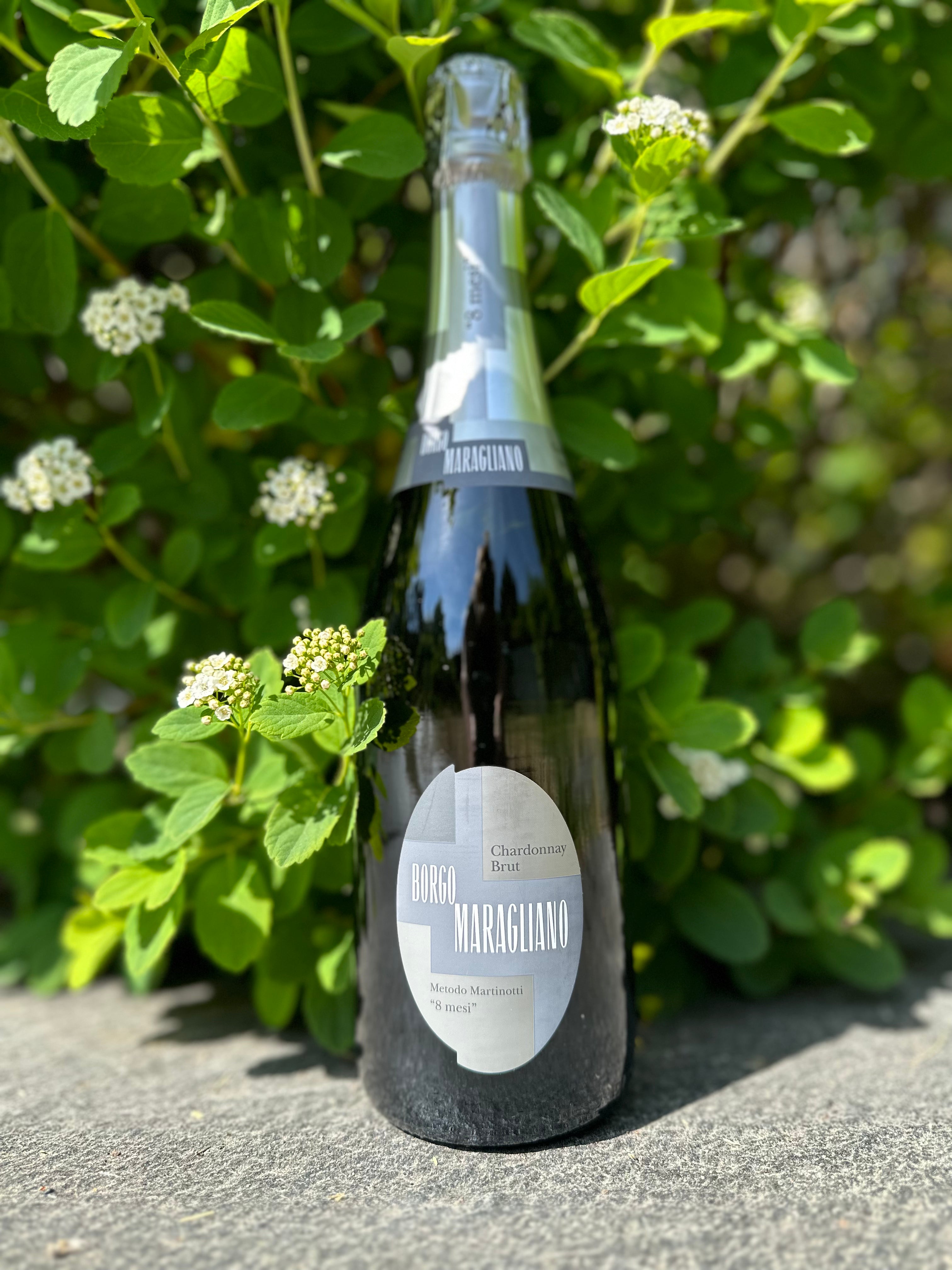 Borgo Maragliano Chardonnay Brut VS