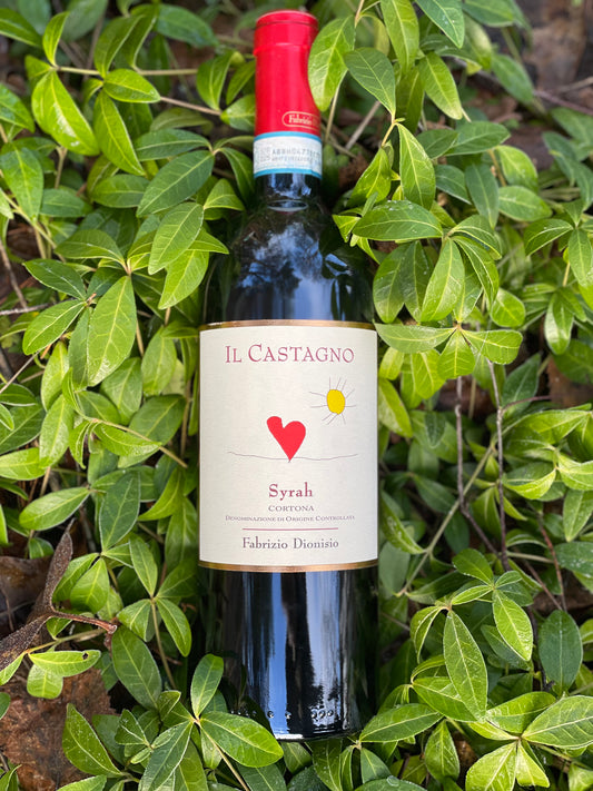 2019 IL Castagnio Syrah Cortona DOC