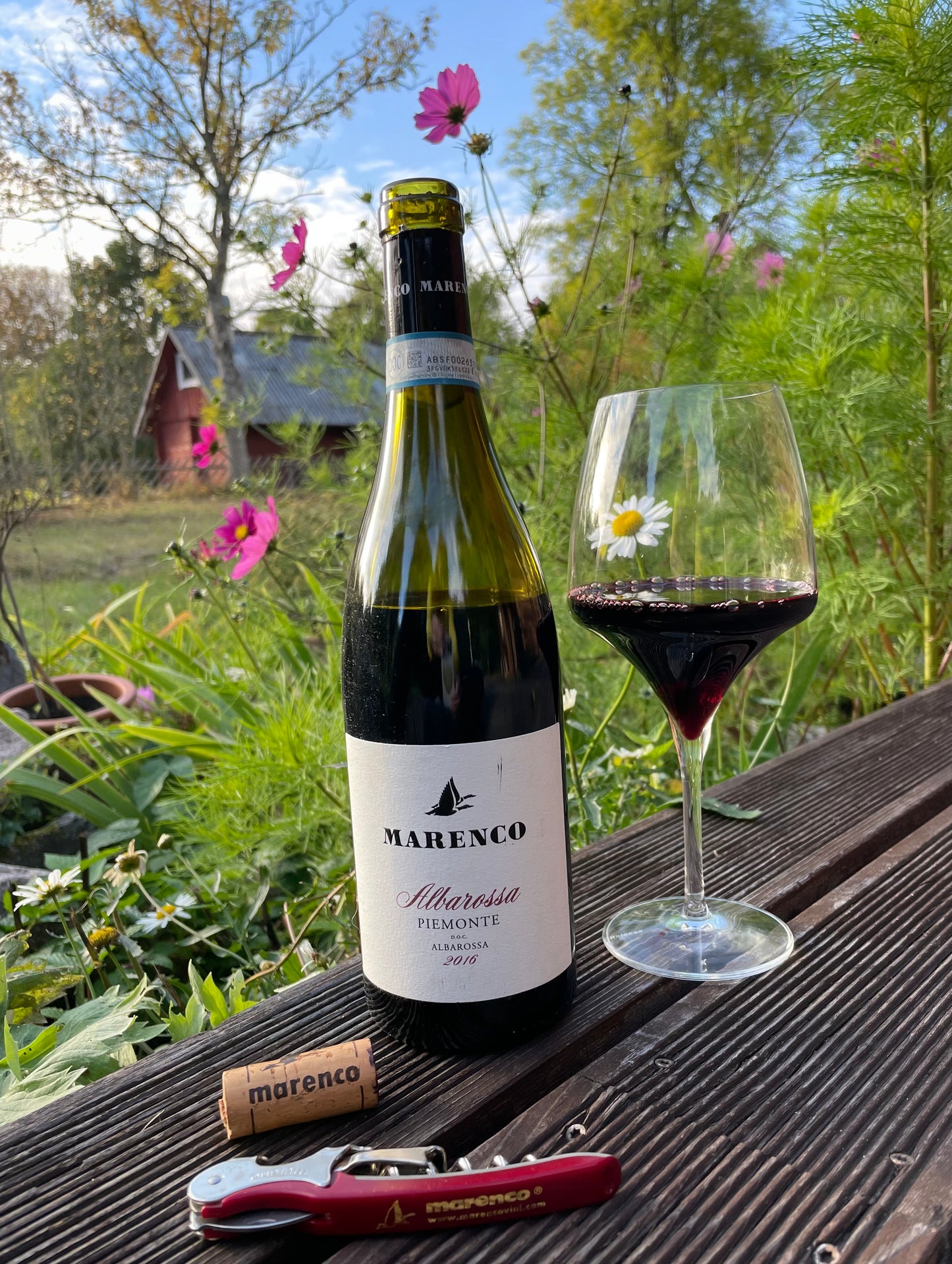 2019 Albarossa Piemonte DOCG