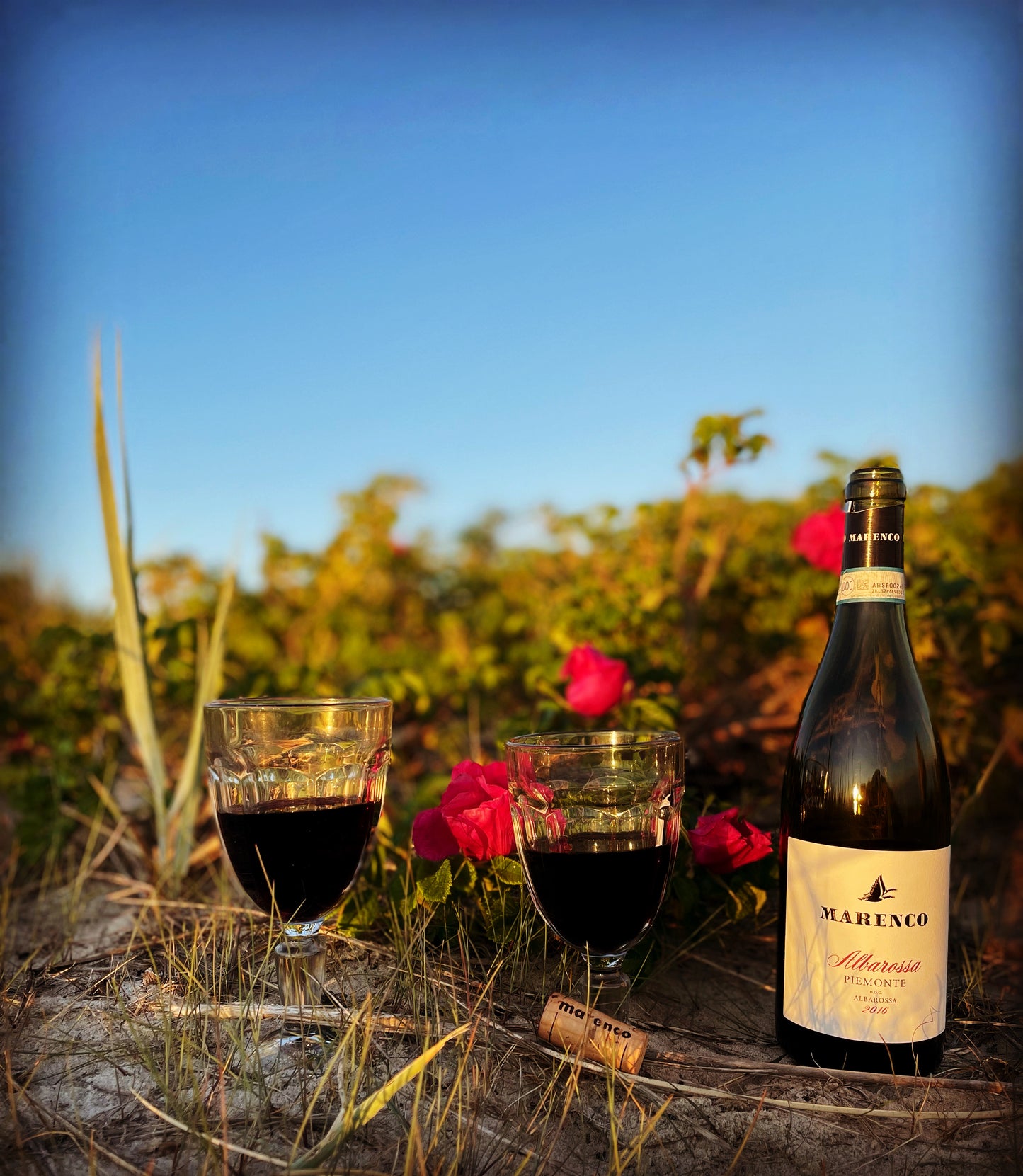 2019 Albarossa Piemonte DOCG
