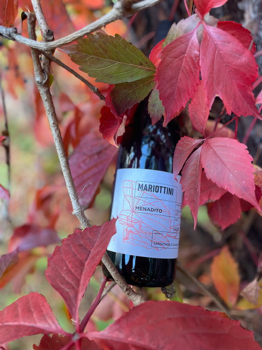 2020 Menadito Toscana Rosso