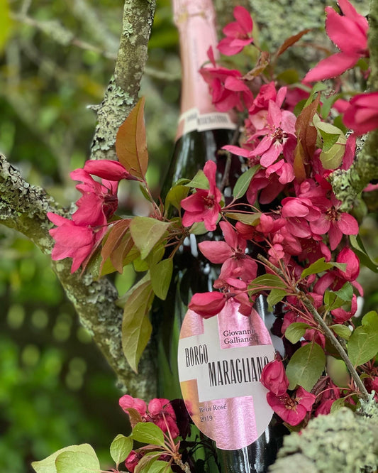 2019 Giovanni Galliano Brut Rose VSQ 