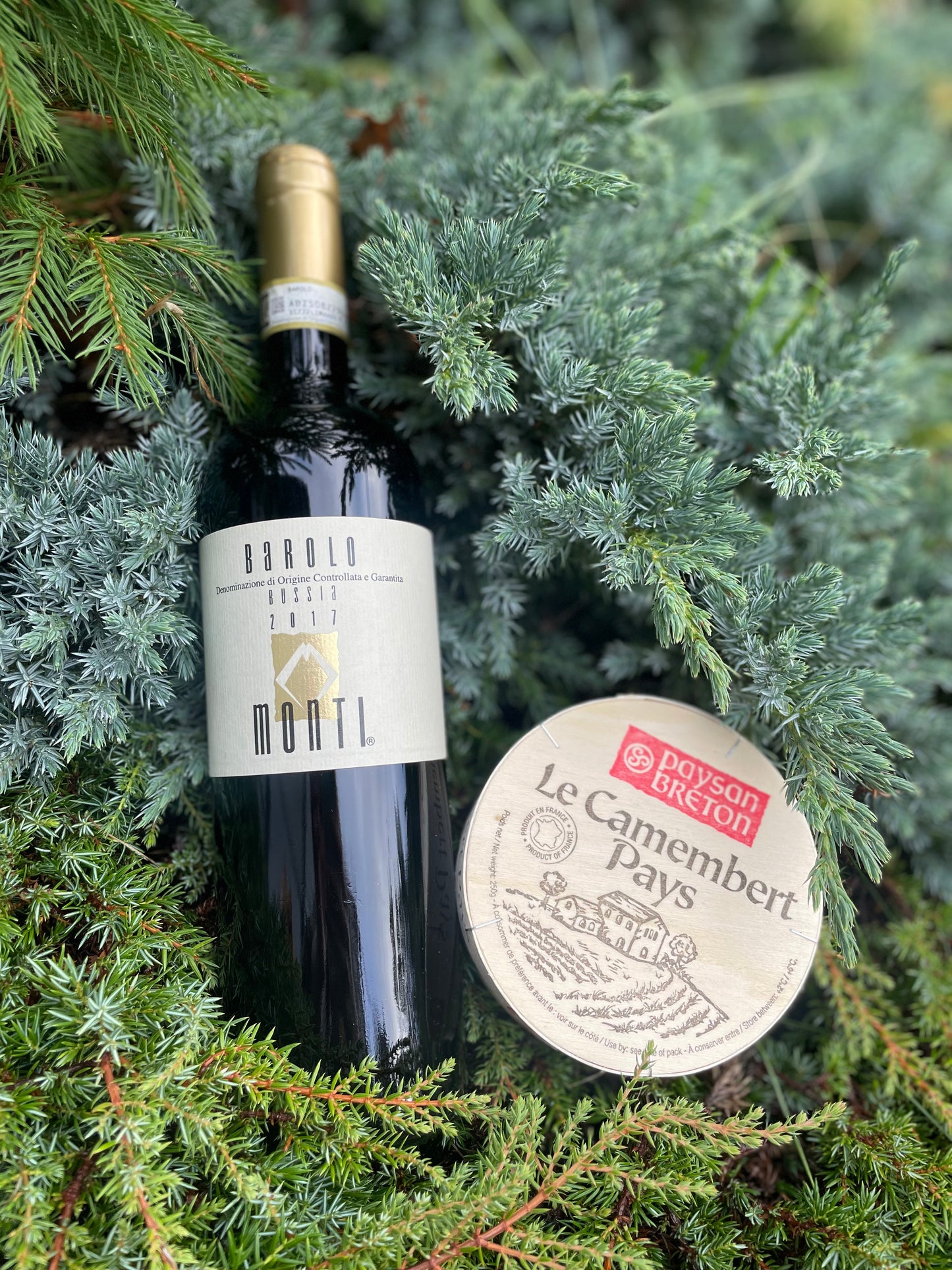 2017 Barolo DOCG Bussia