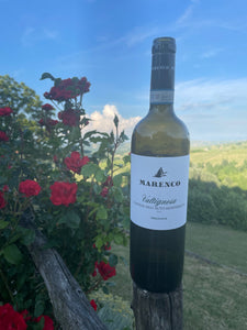 2022 Valtignosa Cortese Alto Monferrato DOC