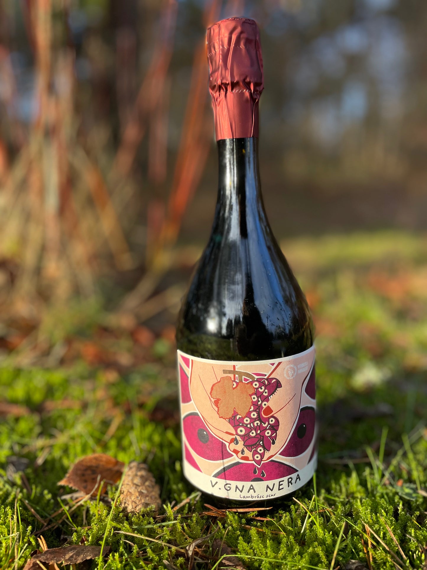 "V.GNA NERA" Lambrusco emilia IGP