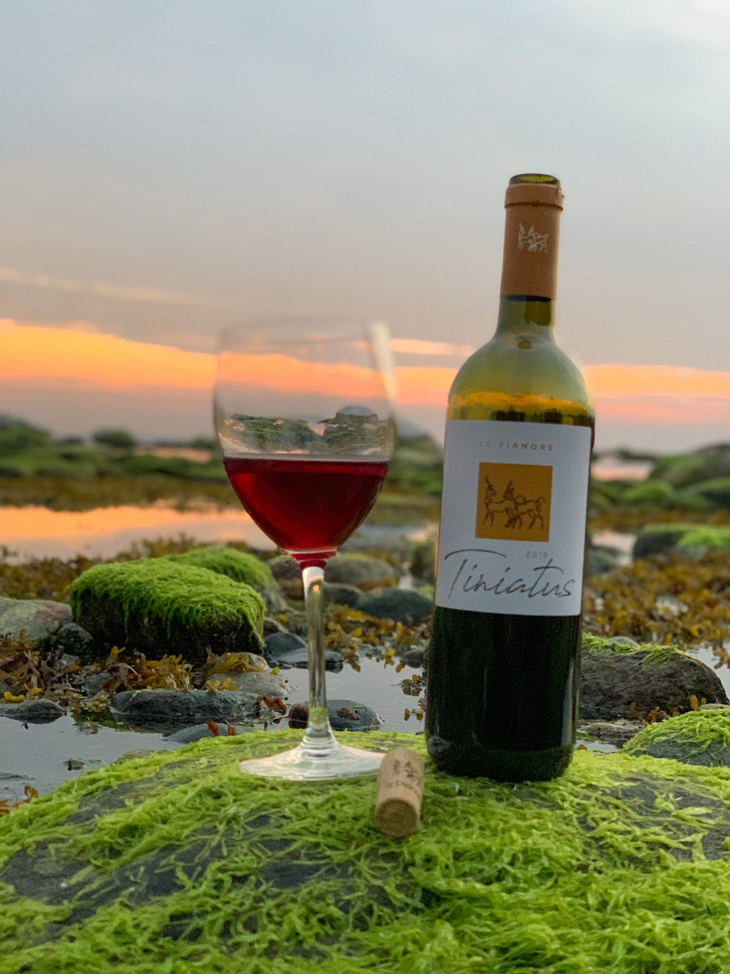 2018 Le Pianore Tiniatus